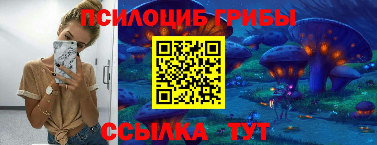 Мценск  Псилоцибиновые грибы мицелий  Вход с VPN  Псилоцибиновые грибы ЛСД 